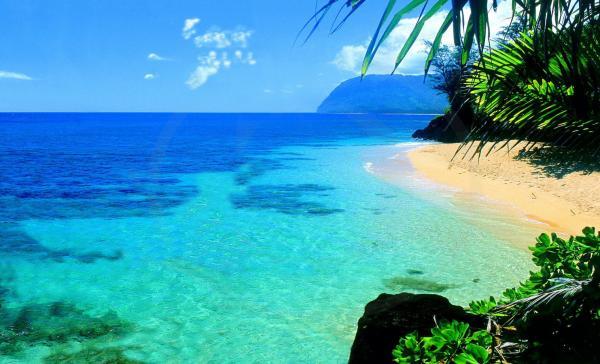 برترین زمان سفر به هاوایی ، فروش آنلاین بلیط هواپیما به مقصد هاوایی