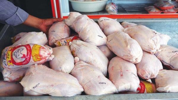 اقدام تازه وزارت کشاورزی برای تنظیم بازار مرغ ، توزیع مرغ تازه و منجمد با قیمت مصوب از امروز
